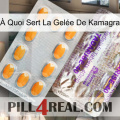 À Quoi Sert La Gelée De Kamagra new12
